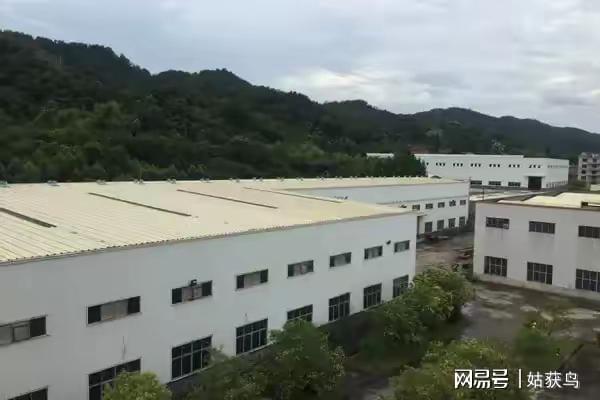 恭喜啊！龙岩市新罗区的一座大型工厂拍卖被人以2475万元竞得！