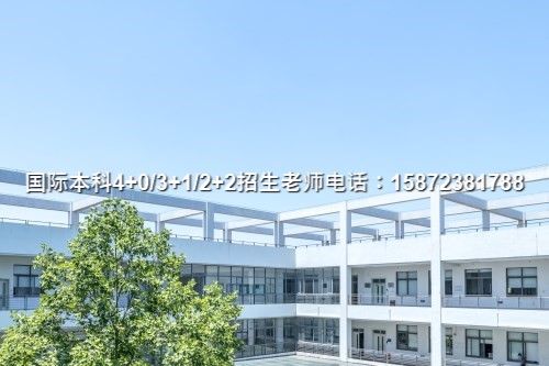 凯发旗舰厅2024)上海理工大学中外合作办学含金量高吗按口碑(图3)