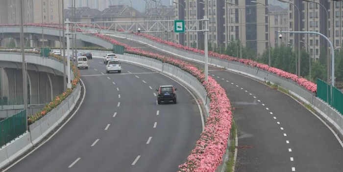 红杉智能花箱开启艺术智慧城市——高架桥上“花团锦簇”