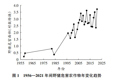 一头奖两千能靠抓野猪暴富吗(图2)