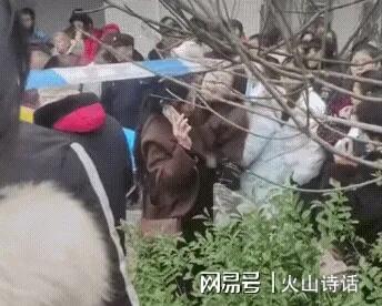 悲催！网传自贡一小区7岁女孩坠楼身亡母亲控诉物业不让装护栏(图5)